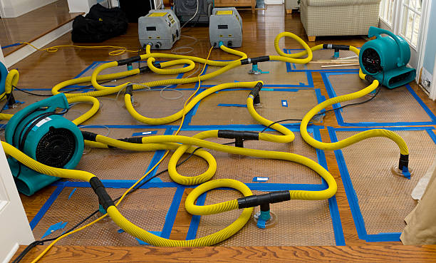 Professional Sewage Cleanup technician working in Leicester, NC